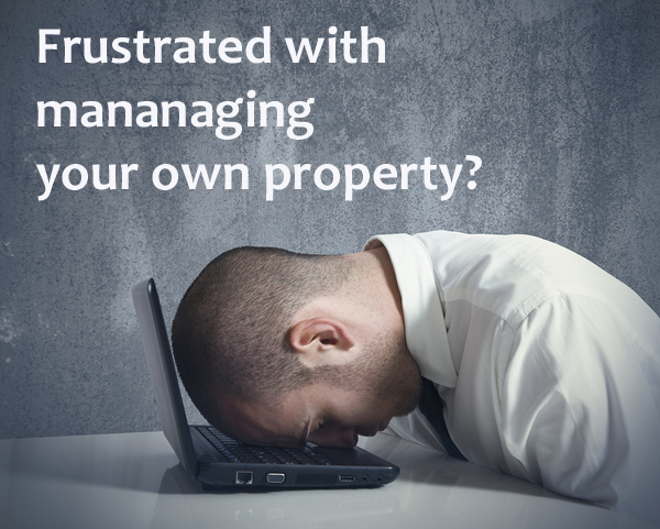 Real Estate Investing: Self–Management versus Professional Property Management